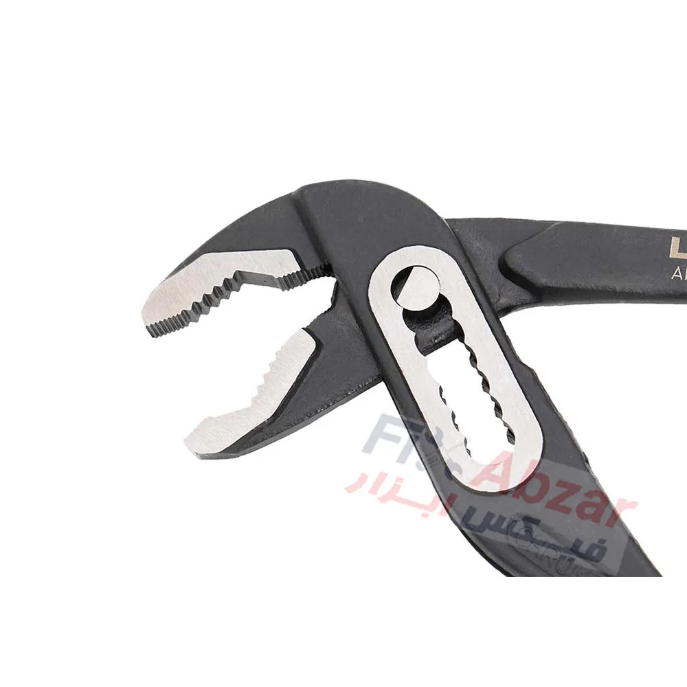 انبر کلاغی لیکوتا